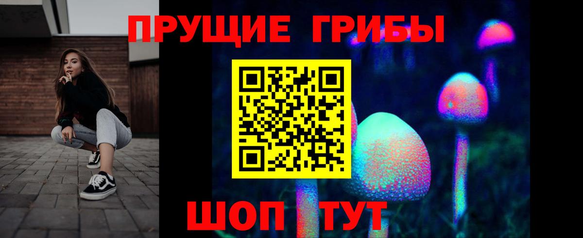 Кингисепп  Галлюциногенные грибы Magic Shrooms  Вход с VPN 